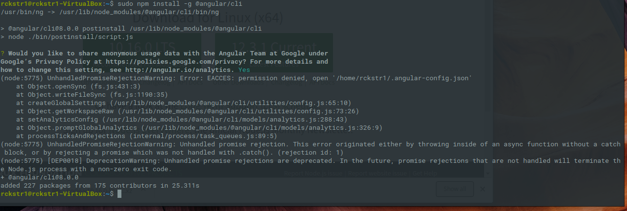 angularjs npm install